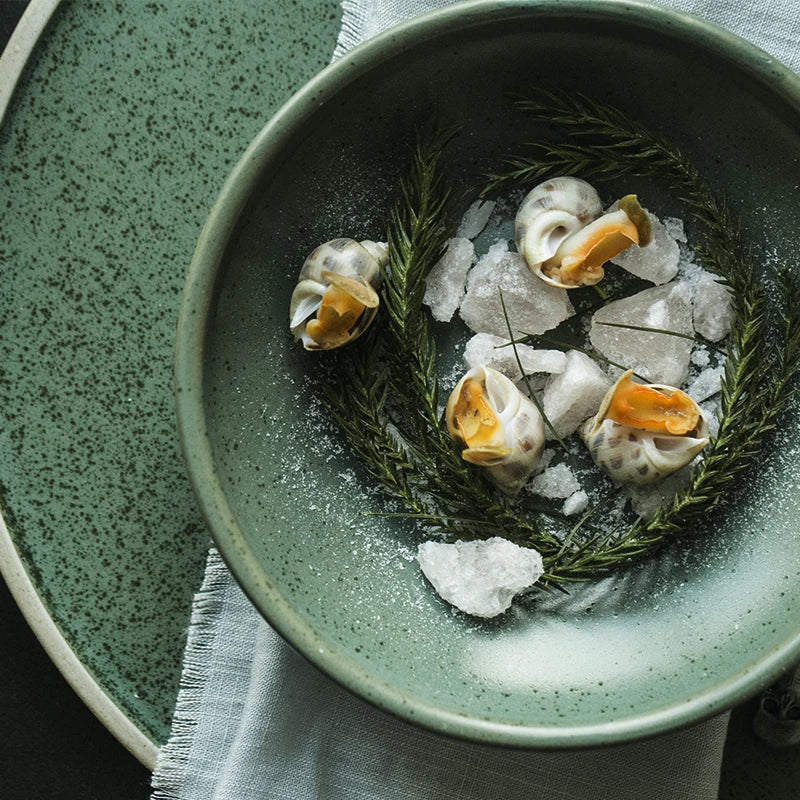 Elegant Ceramic Harmony Mint Dinner Plate and Bowl Set with a sleek design and soothing pastel green color, perfect for modern table settings