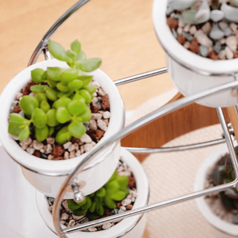 Ferris wheel plant rack featuring steel stands and four ceramic pots for stylish plant display