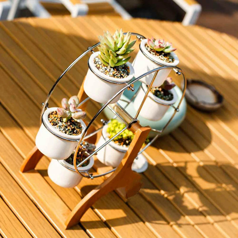 Ferris wheel plant rack featuring steel stands and four ceramic pots for stylish plant display