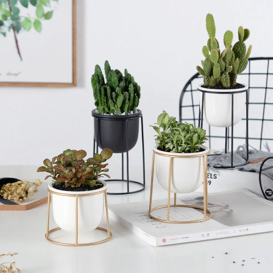 A modern trio flowerpot set, perfect for small plants, featuring three sleek, minimalist pots in varying sizes and colors